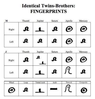 Fingerprints of Identical Twins Twins.Bro